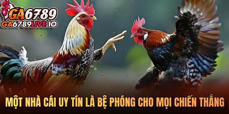 Một nhà cái uy tín là bệ phóng cho mọi chiến thắng của bạn