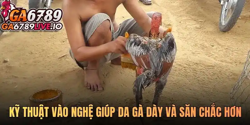 Kỹ thuật vào nghệ giúp da gà dày và săn chắc hơn