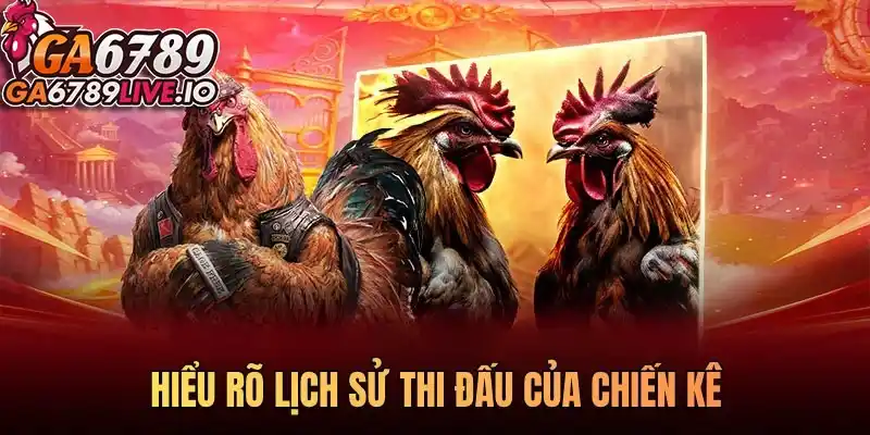 Hiểu rõ lịch sử thi đấu của chiến kê
