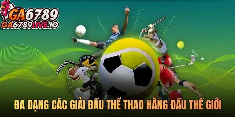 Đa dạng các giải đấu thể thao hàng đầu thế giới