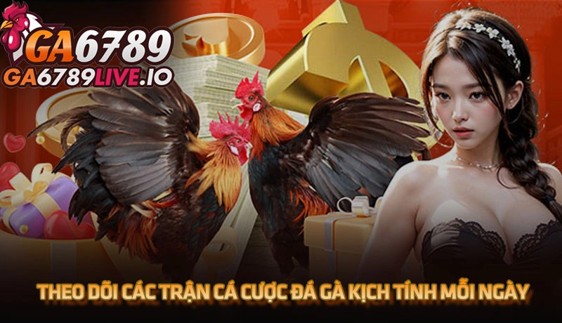 Theo dõi các trận cá cược đá gà kịch tính mỗi ngày