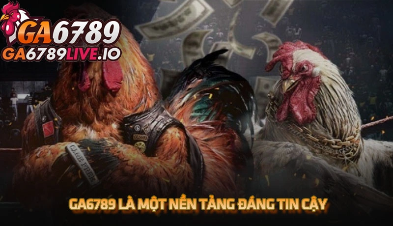 Trải nghiệm chân thực từ người dùng xác nhận Ga6789 là một nền tảng đáng tin cậy