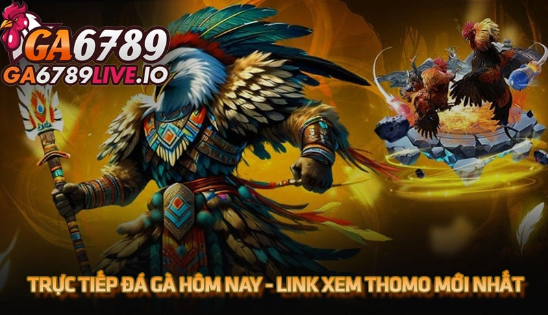 Trực tiếp đá gà hôm nay - Cập nhật link xem Thomo mới nhất