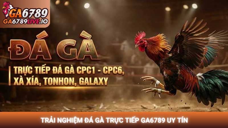 Trải nghiệm đá gà trực tiếp Ga6789 uy tín