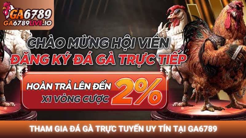 Tham gia đá gà trực tuyến uy tín tại GA6789